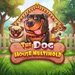 The Dog House Multihold game at Spinyoo Casino for United Kingdom players